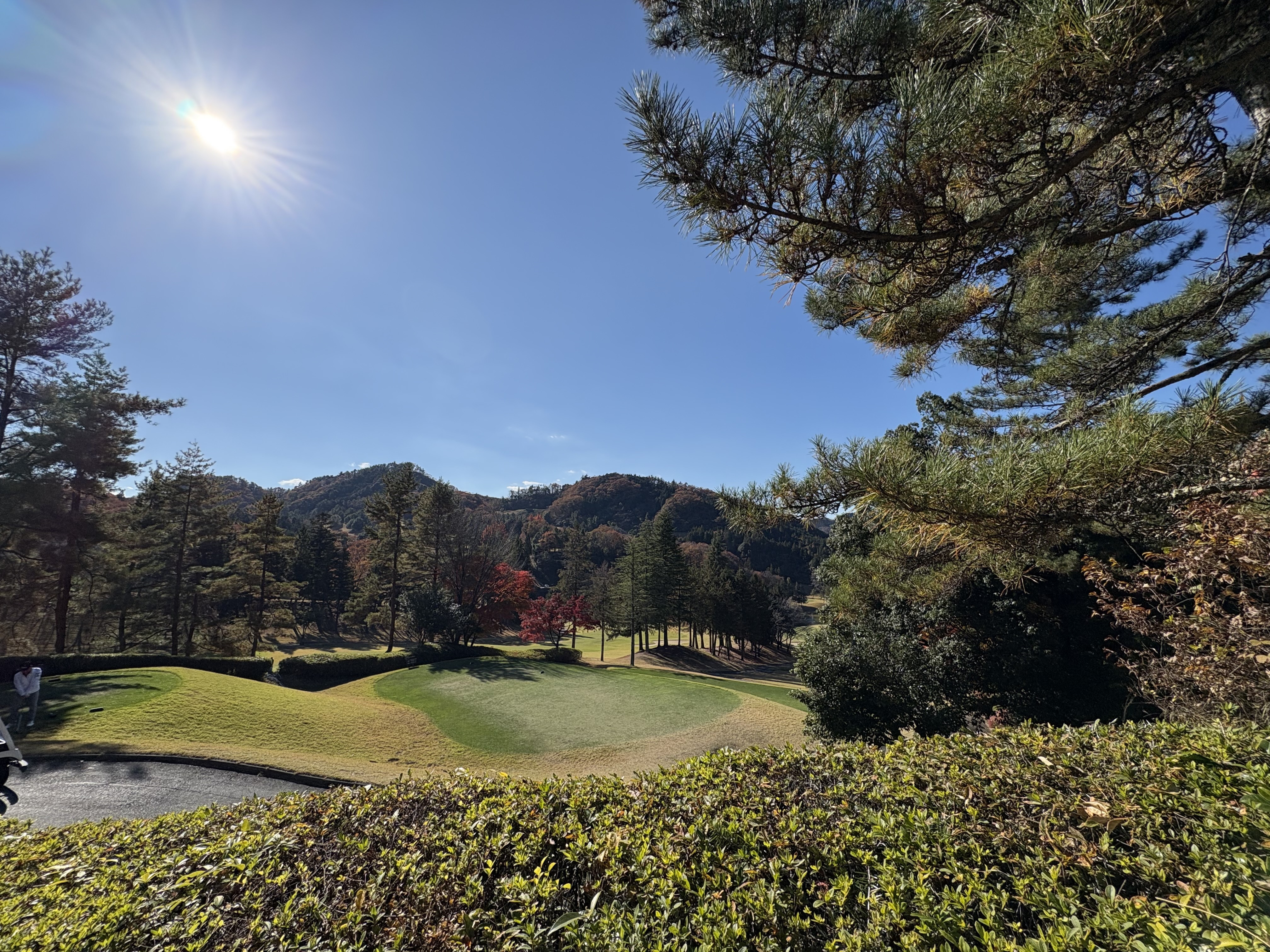 img_pick 日本女子ゴルフ界が熱い！