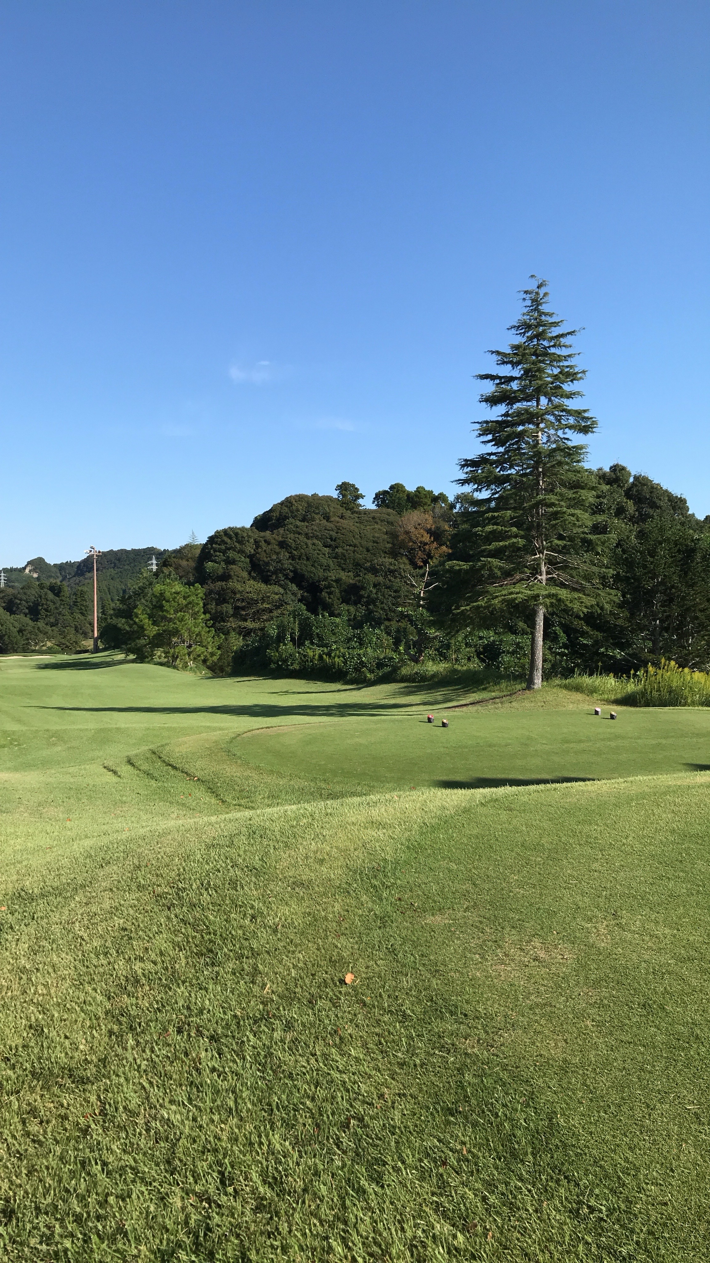 blog_img 日本女子ゴルフ界が熱い！