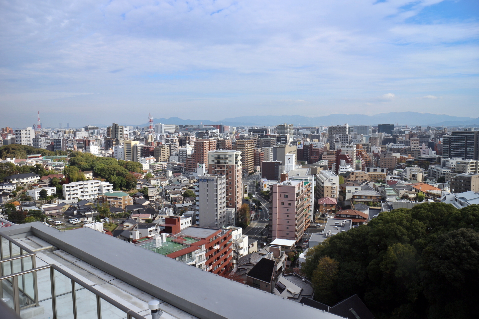 日本市場への正しい理解の提供